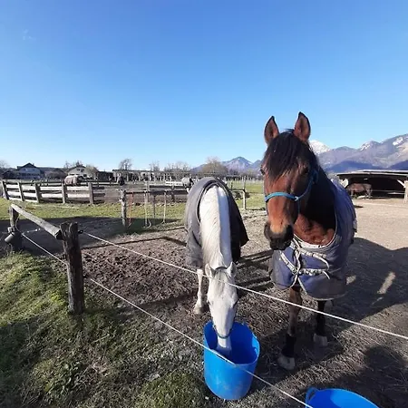 Apartma Ranc Luze Apartamento