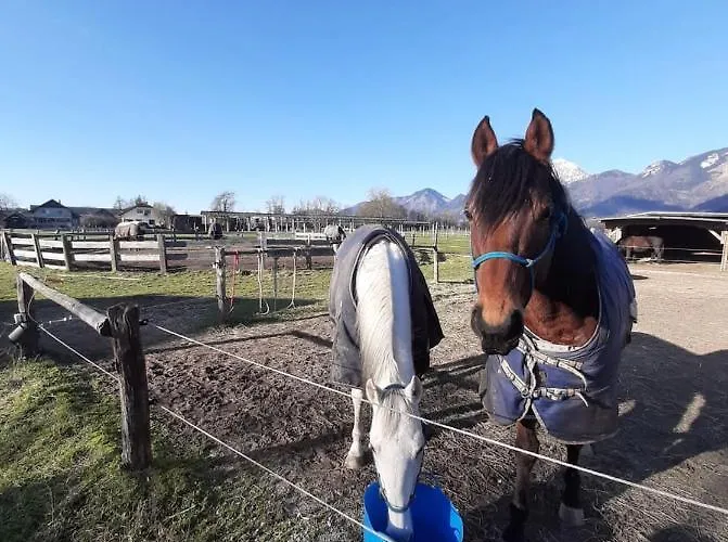 Apartma Ranc Luze דירה