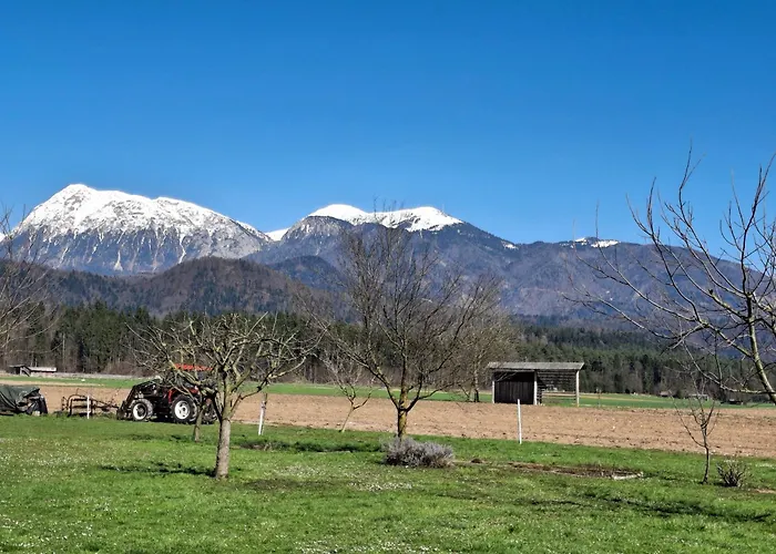 Apartma Ranc Luze דירה